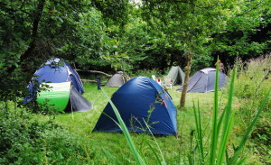 camp in my garden-photo